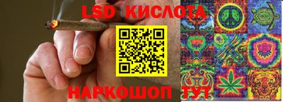таблы Новозыбков