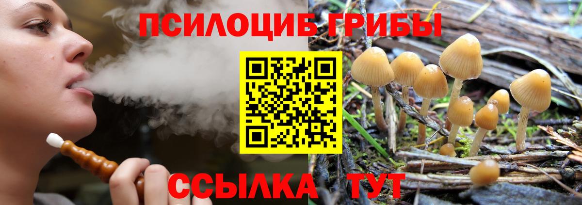 Псилоцибиновые грибы Magic Shrooms  Вход с VPN  где найти наркотики  Стрежевой 